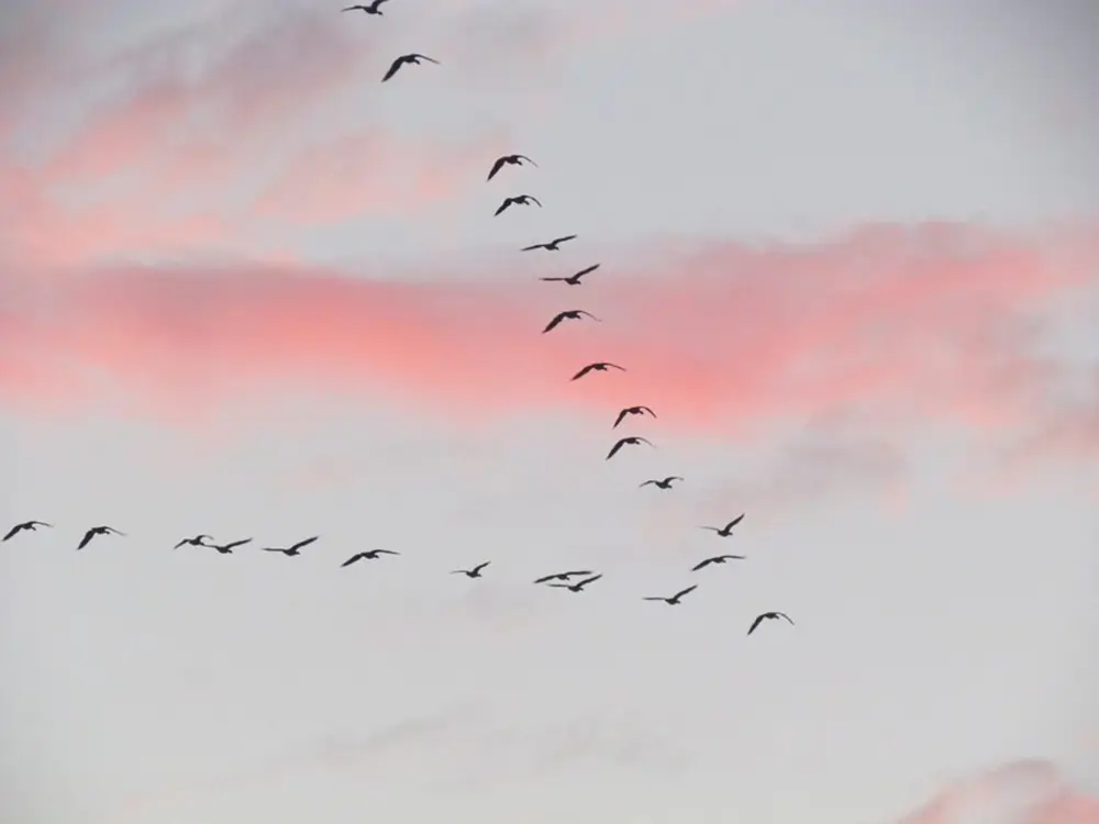 Migración cloud de servicios e infraestructuras