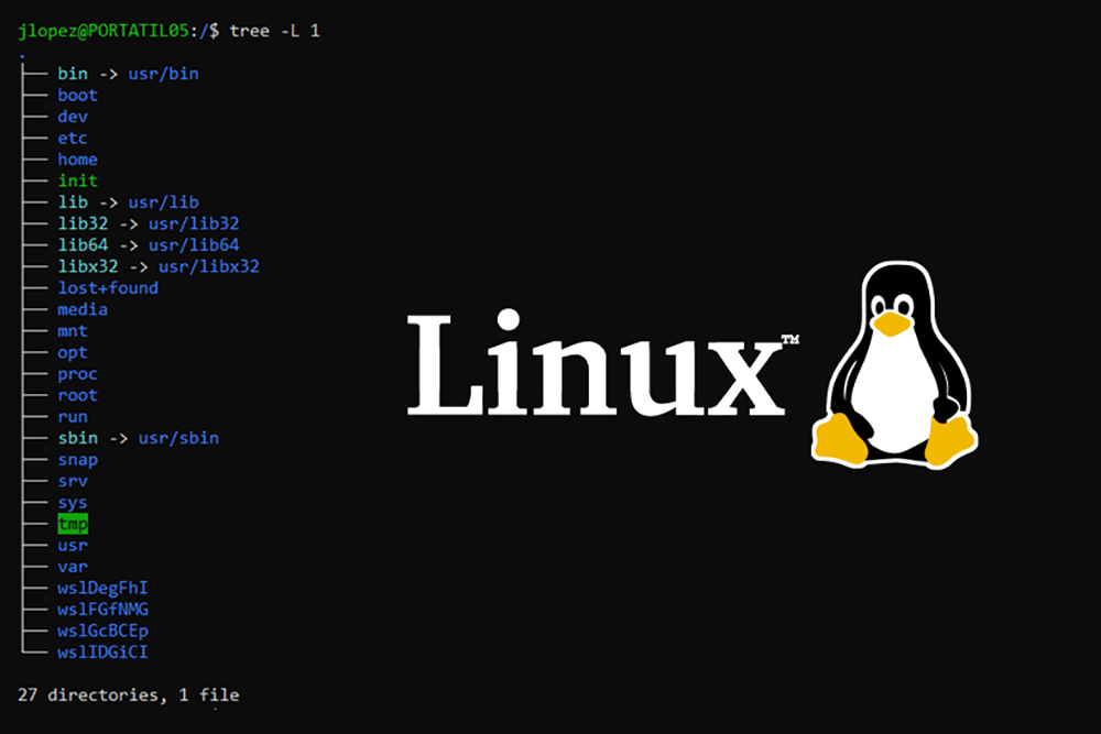 Estructura del árbol de directorios en Linux y su importancia práctica