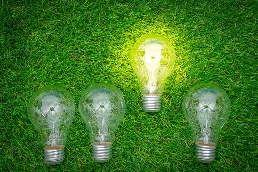 Green computing y otras soluciones eco-responsables para tu empresa